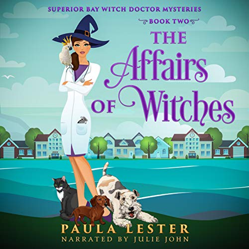 Cover of The Affairs of Witches