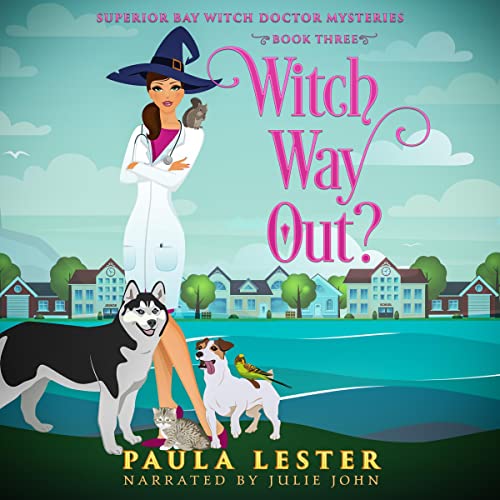 Cover of Witch Way Out