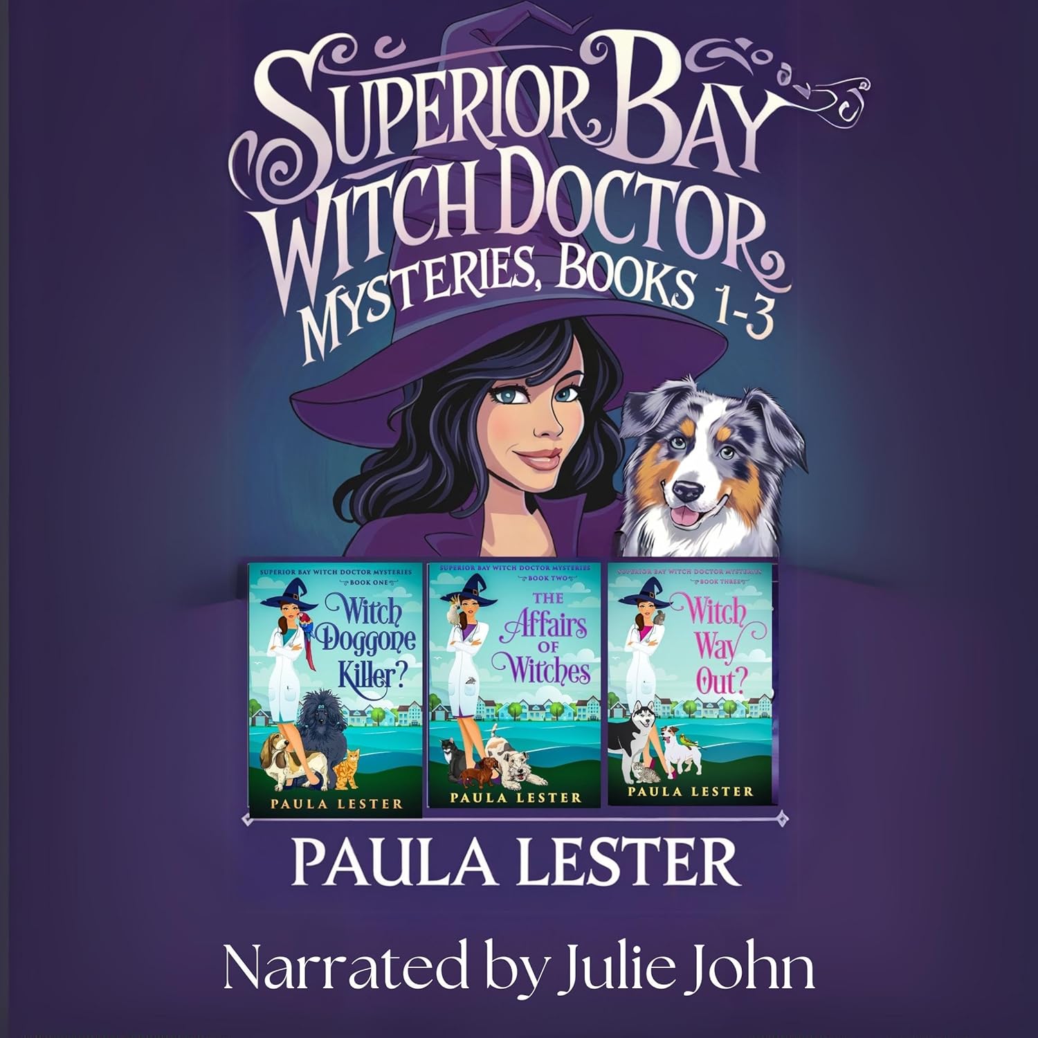 Cover of Superior Bay Witch Doctor Mysteries Books 1-3